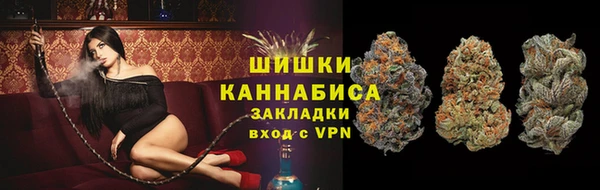 ГАЛЛЮЦИНОГЕННЫЕ ГРИБЫ Белокуриха