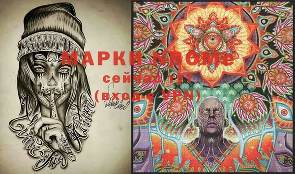 прущие грибы Балабаново