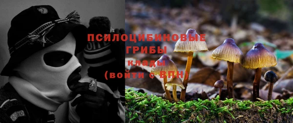 бошки Белоозёрский